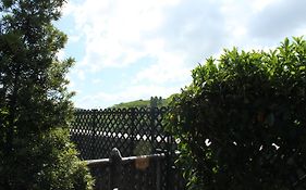 Noah’s Ark Hotel&Resort